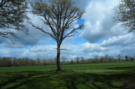 P3268998