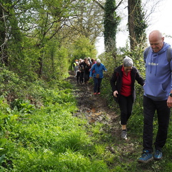 marche et rando Beaulieu s/s la Roche 26/03/2026