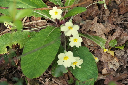 P3269002