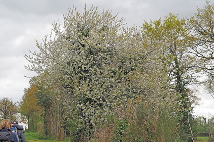 P3269010