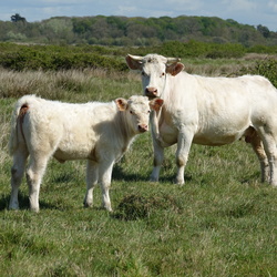 Rando du 2 avril 2026